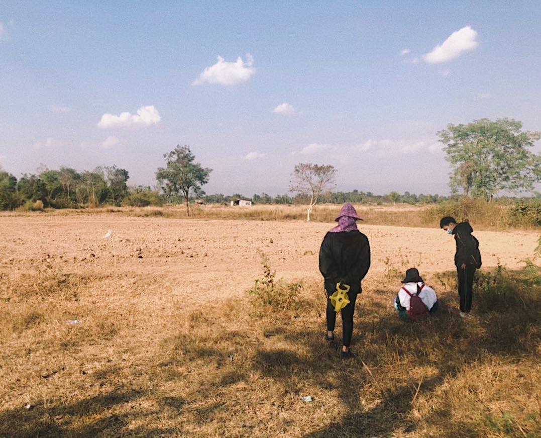 people looking at a field