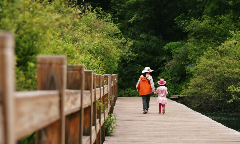 China, parents, children, child, girl, walking, backs