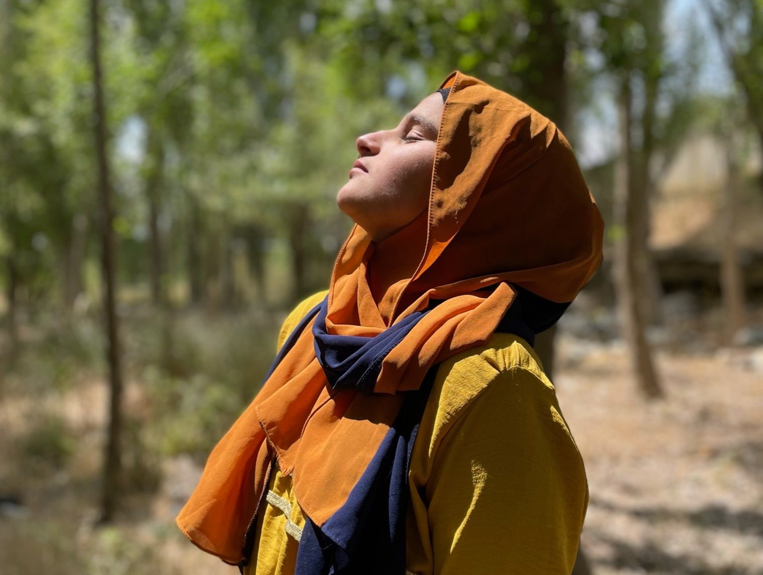 Approaching trauma healing with the Great Healer